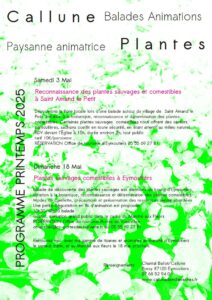 programme des animations de découverte des plantes printemps 2025 Callune